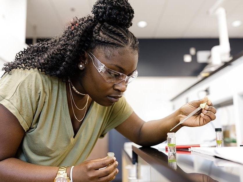 A student conducts research in a lab